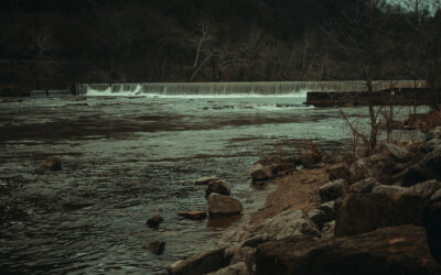 A New Year Reflection on Resilience and Return